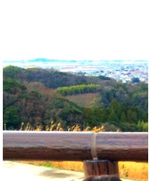 出雲平野 | その他