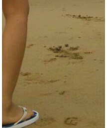 RALPH LAUREN | ビーチサンダル