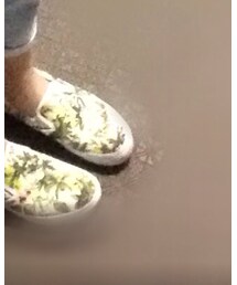 VANS | スニーカー