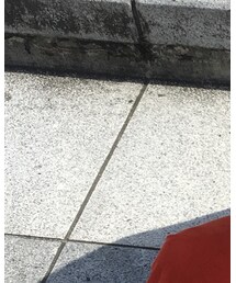 TOMMY HILFIGER | その他パンツ