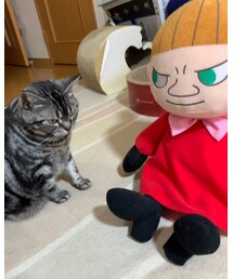 アロハちゃん | その他