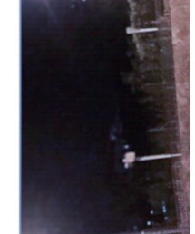 SCOTCH & SODA | その他パンツ