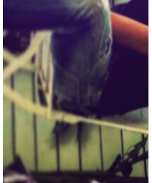 DSQUARED2 | デニムパンツ