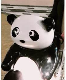 レンタル パンダベビーカー | その他