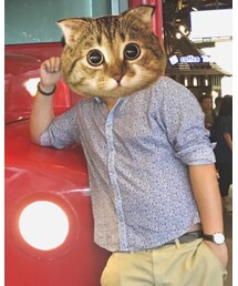 ZARA | シャツ/ブラウス