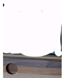 Champion | Tシャツ/カットソー