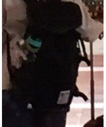 ｌａｒｋｉｎｓ | バッグ