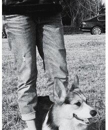 ZARA | その他パンツ