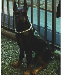 ウチの番犬 | その他