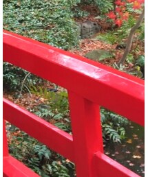日本庭園 | その他