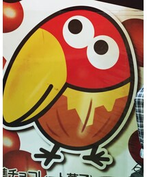 キョロちゃーーん❤️ | その他