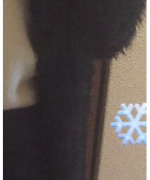 FOREVER 21 | その他アウター