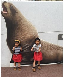 トドと背比べ | その他