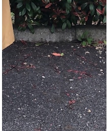 UNIQLO | デニムパンツ