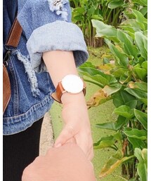 Daniel Wellington | アナログ腕時計