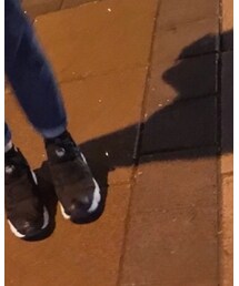 Champion | ソックス/靴下