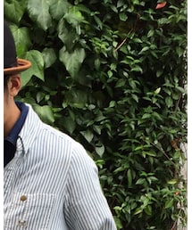 Fred Segal | シャツ/ブラウス