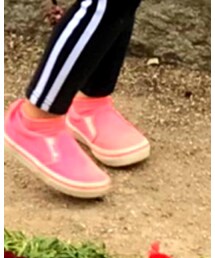 VANS | スリッポン