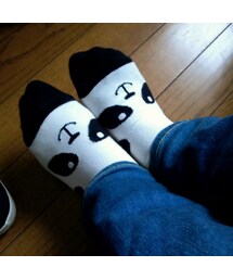 靴下屋で購入  おろしたてのパンダソックス(ソックス/靴下)
