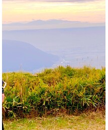 schott | ライダースジャケット