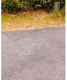 Timberland | ブーツ