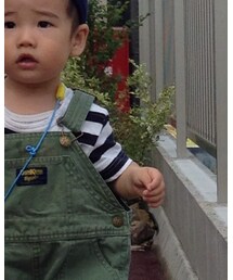 無印良品 | トップス