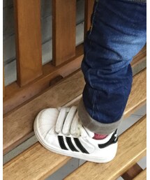 adidas | スニーカー