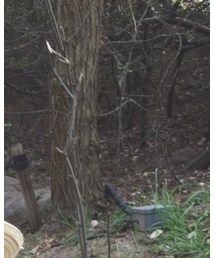 天王寺動物園☺︎ | その他