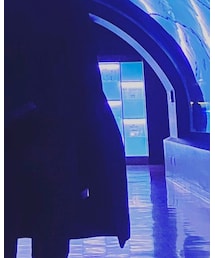 UNIQLO | チェスターコート