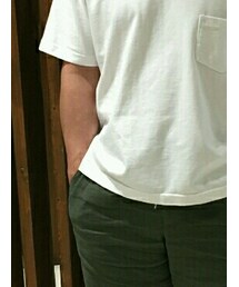 アダムエロぺ ワイルドライフテーラ | Tシャツ/カットソー