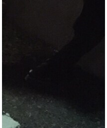 Dr. Martens | ブーツ