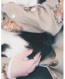 猫ちゃん | その他小物