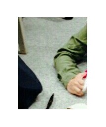 ダイソー | はさみ(財布/小物)