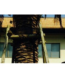 偶然のふたごコーデでござる！ | パンツ