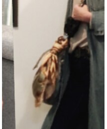 rush | ストール/ショール