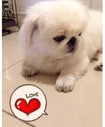 ミルク❤︎ | その他