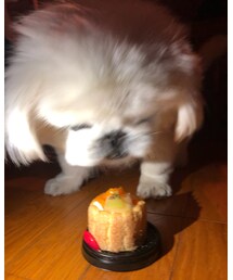 可愛いミルク♡ | その他