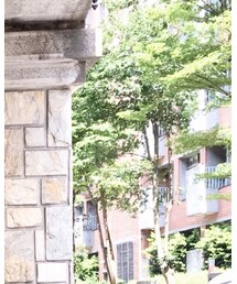 Ray-Ban | サングラス