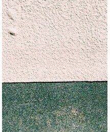 COMME des GARCONS | スウェット