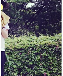 Steven Alan | Tシャツ/カットソー