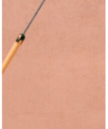 AURALEE | Tシャツ/カットソー