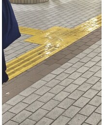 AURALEE | その他パンツ