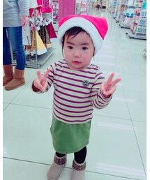 トナカイ | その他