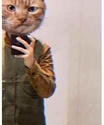 UNIQLO | シャツ/ブラウス