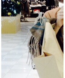 BEAMS | マフラー