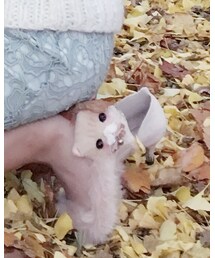 RANDA | パンプス