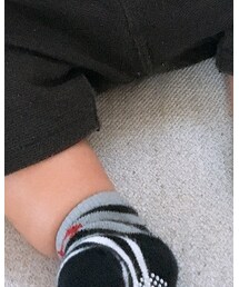 BeBe | レッグウェア