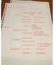 ここテストに出るからねぇー | その他