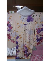 着物 | 振袖(その他)