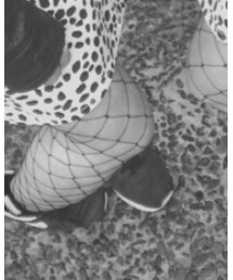 靴下屋 | タイツ/ストッキング